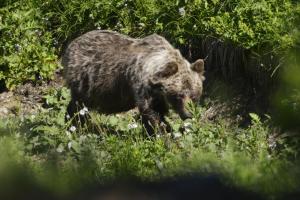 Vyhlásená mimoriadna situácia v okrese Ilava 1